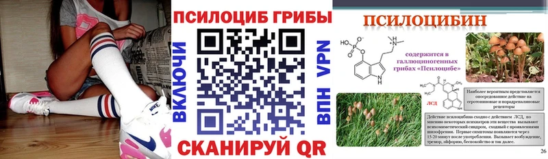 Псилоцибиновые грибы Psilocybe Асино
